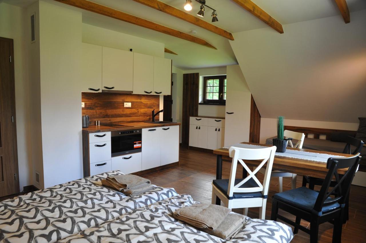 Apartmany U Fibichu Orlicke Zahori 外观 照片