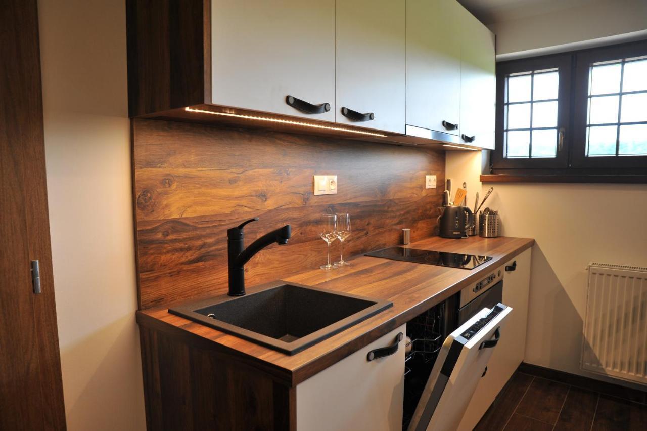 Apartmany U Fibichu Orlicke Zahori 外观 照片